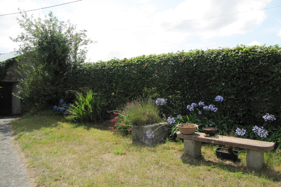 Photo of Others in Brelidy