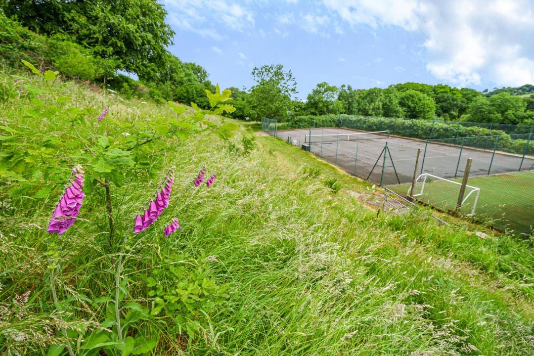 Photo of Outdoor in Dunkeswell