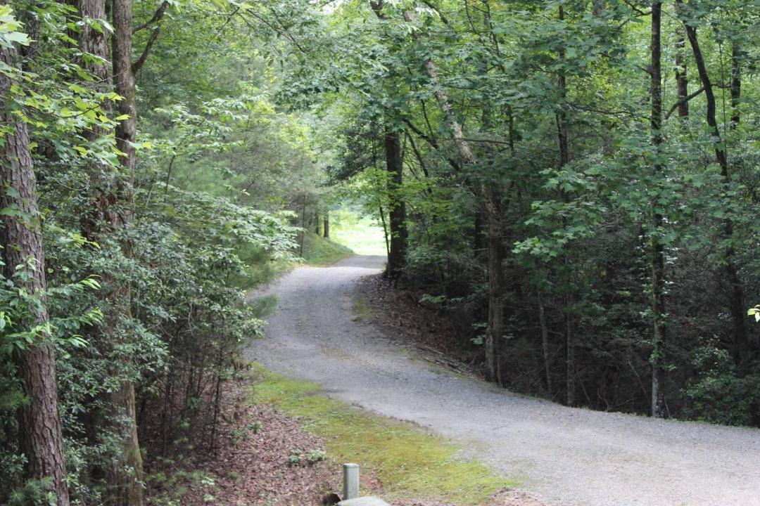 Photo of Others in Clarkesville