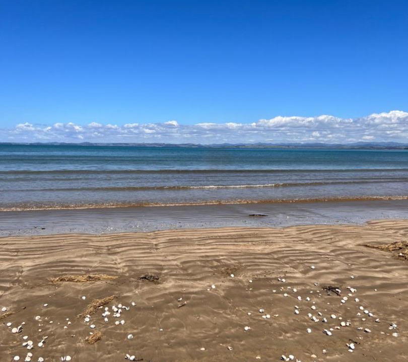 Photo of Others in Karkari Peninsula