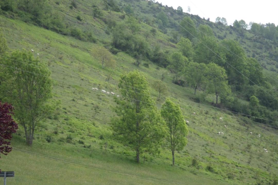 Photo of Others in Peyragudes