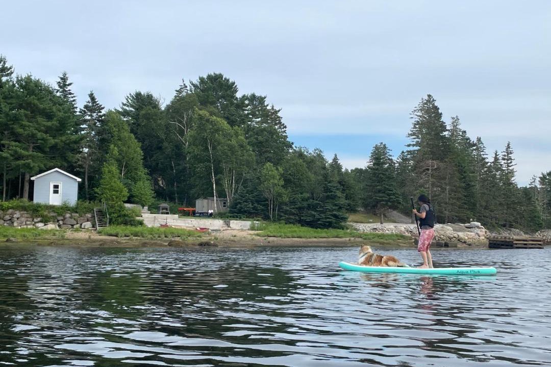 Photo of Others in Tantallon