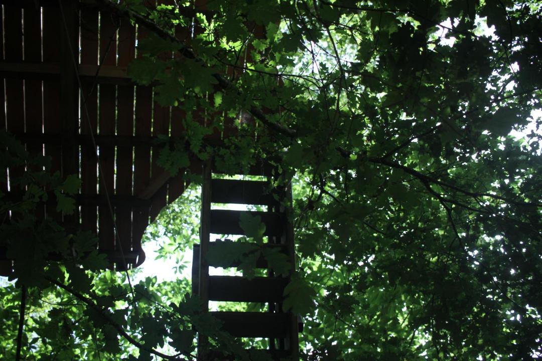 Photo of Others in Lempzours