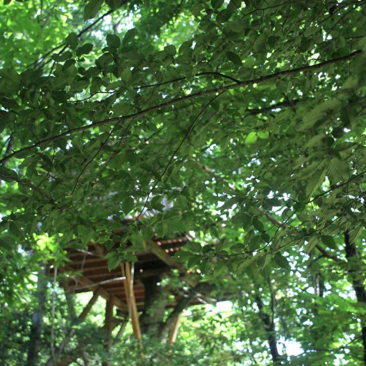 Photo of Others in Lempzours