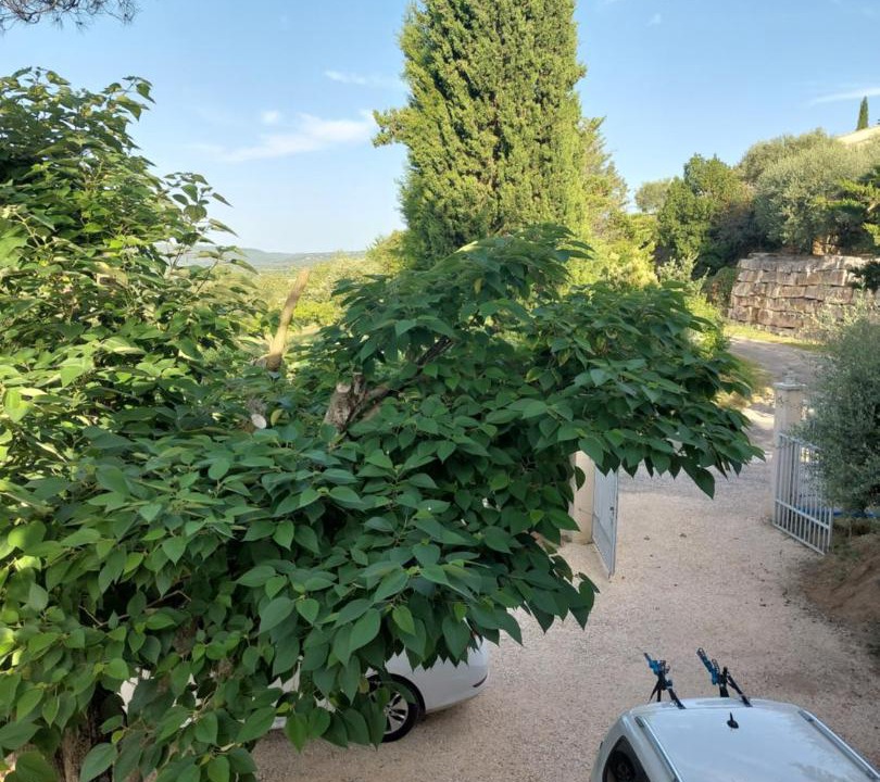 Photo of Others in Saint-Martin-d'Ardeche