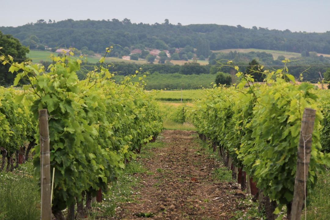 Photo of Others in Challignac