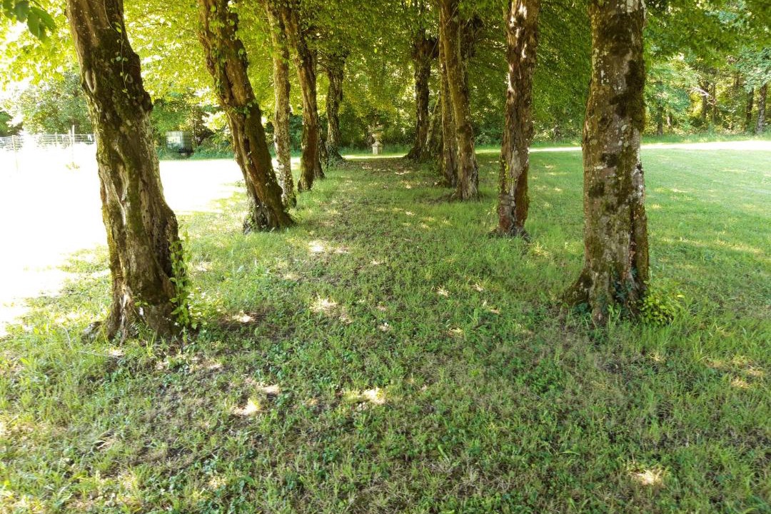 Photo of Outdoor in Challignac