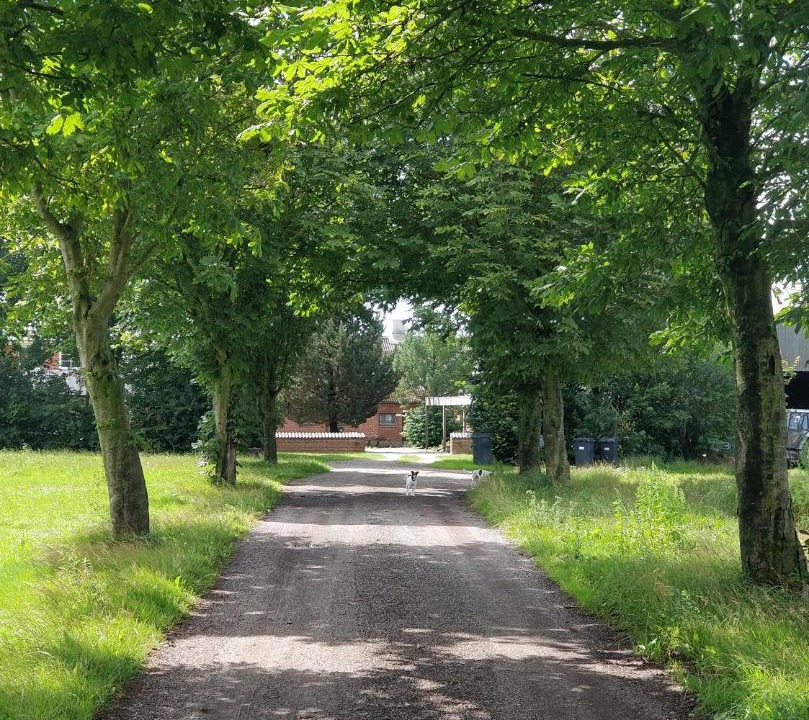 Photo of Others in Vejle Municipality