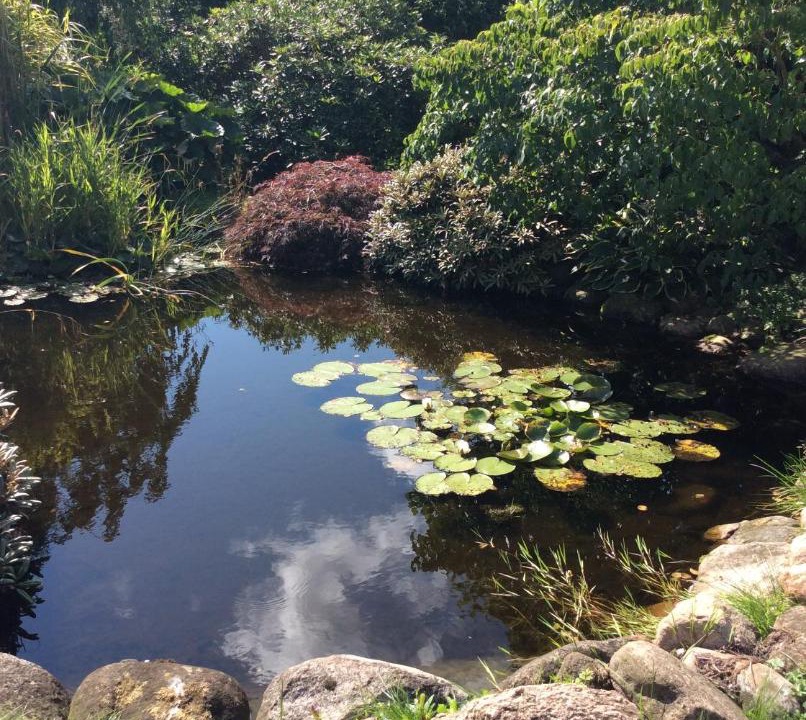 Photo of Others in Vejle Municipality