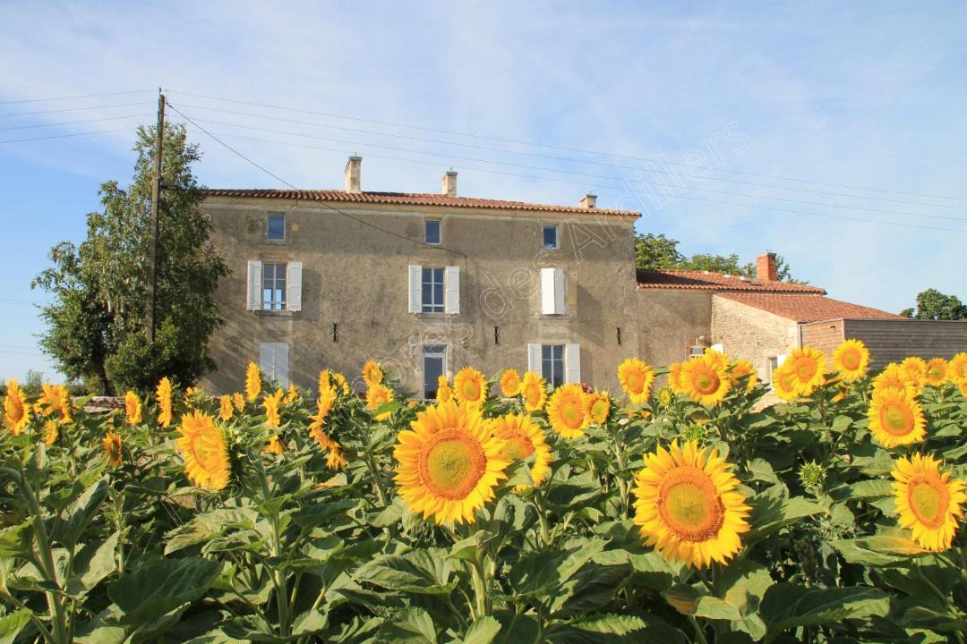 Photo of Others in Saint-Pierre-le-Vieux
