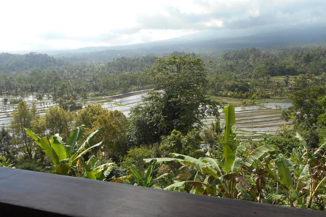 Photo of Others in Selat