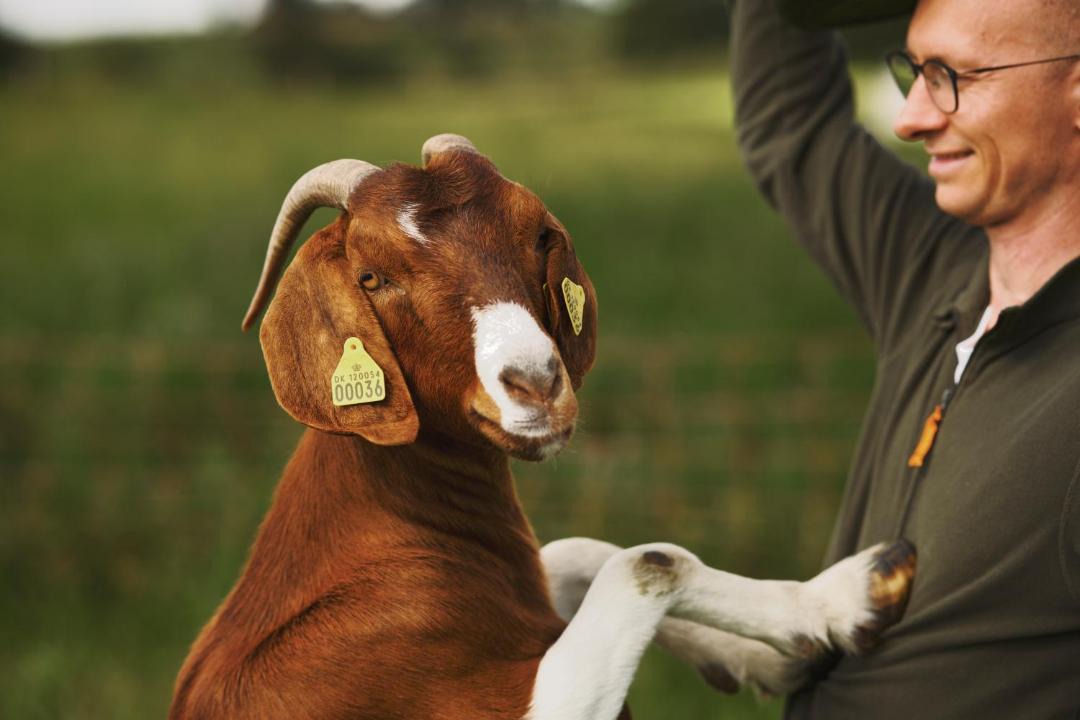 Photo of Human In Picture in Ringsted