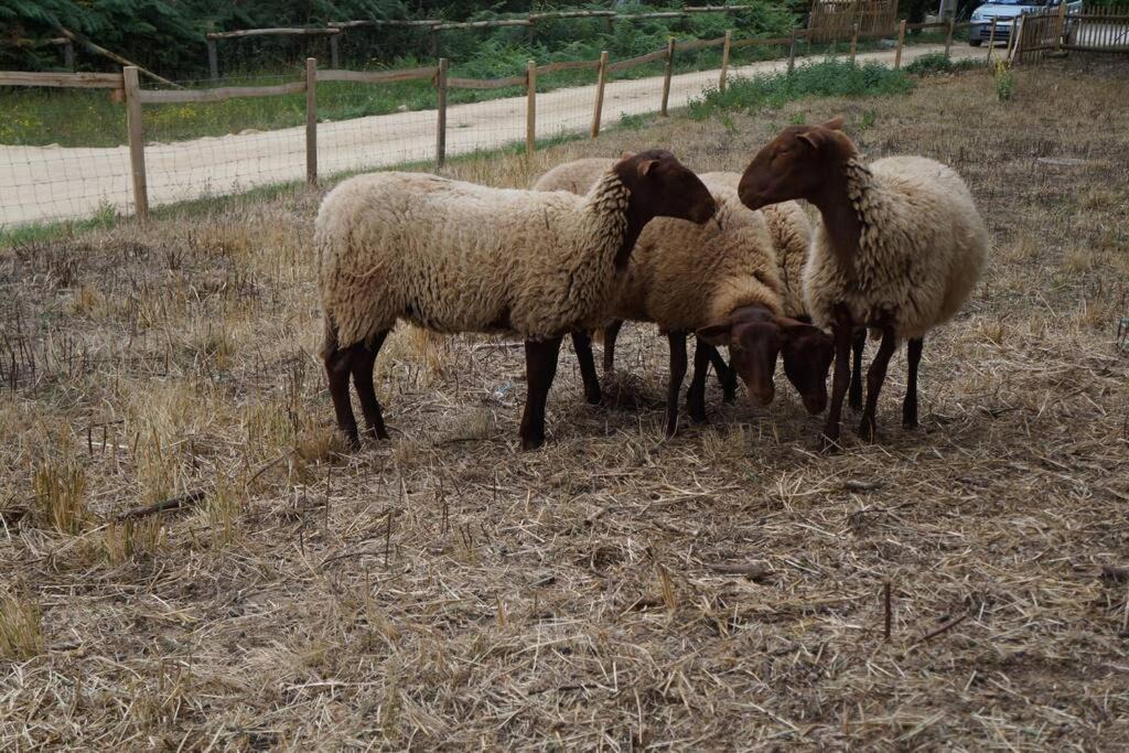 Photo of Others in Bressuire