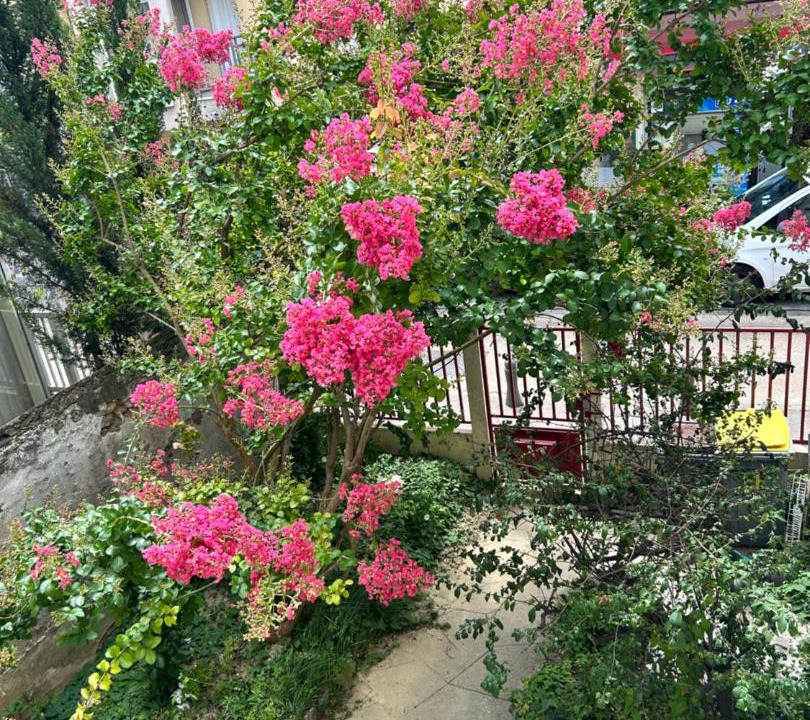 Photo of Buildings in Quartier Centre Ville