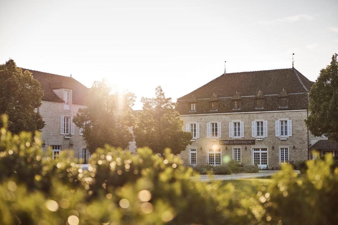 Photo of Others in Puligny-Montrachet