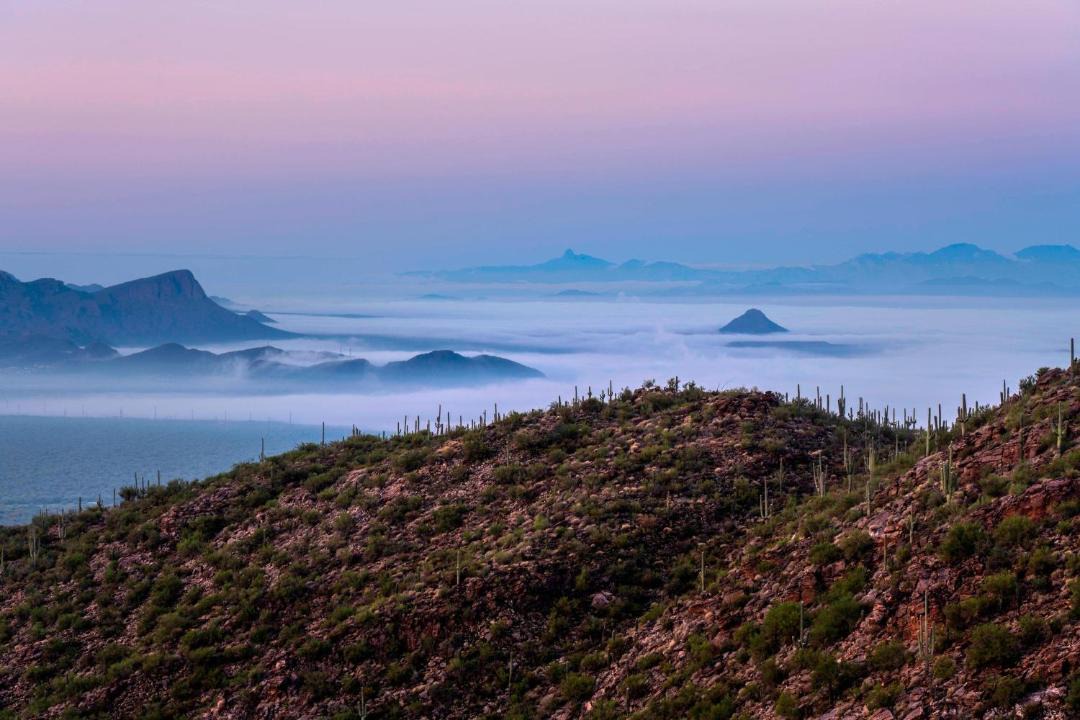 Photo of Others in Dove Mountain