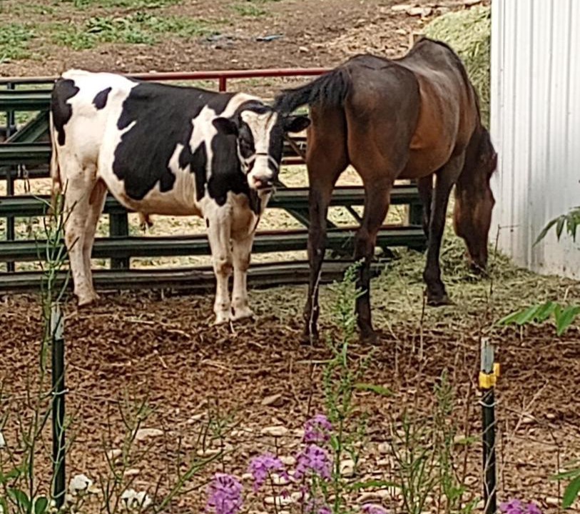 Photo of Others in Town of Burns