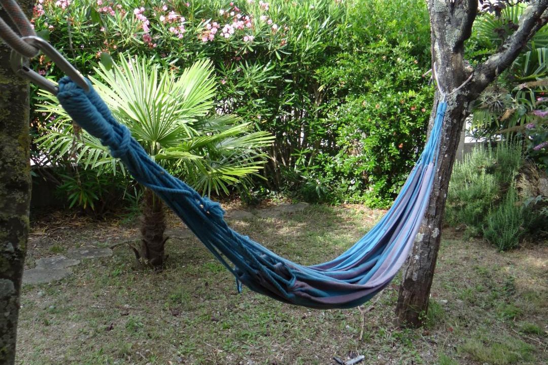 Photo of Others in Montreal