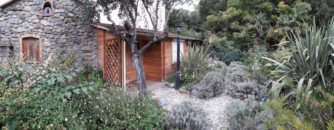 Photo of Others in Prugnanes