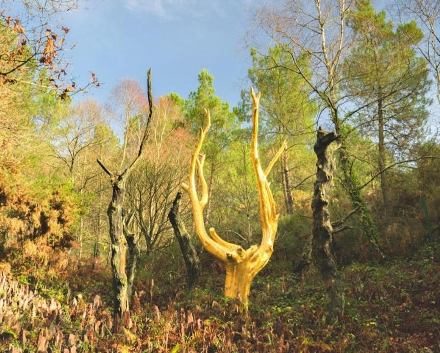 Photo of Others in Taupont