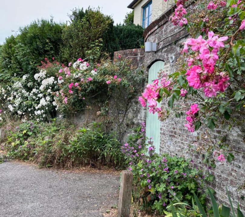 Photo of Buildings in Cassel