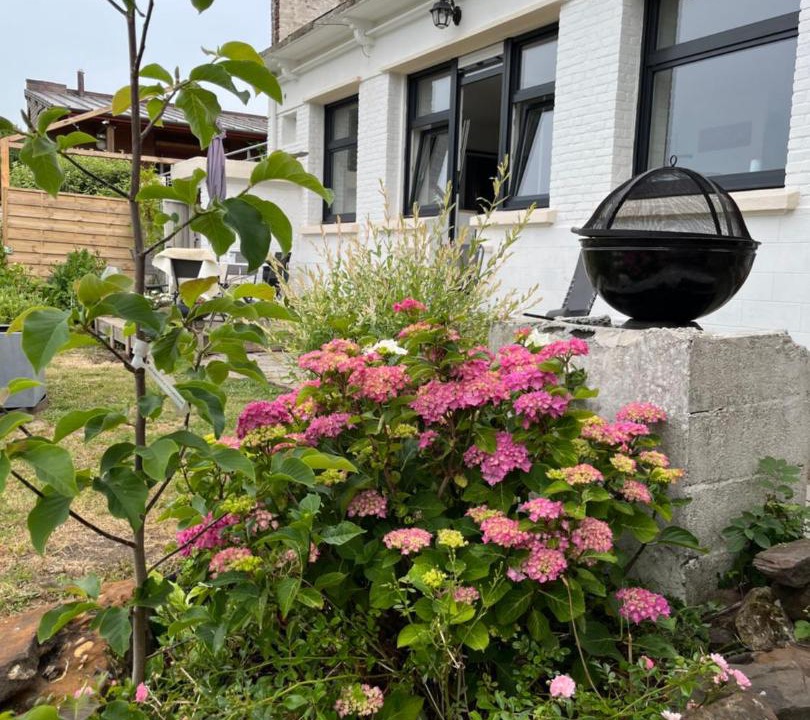 Photo of Buildings in Cassel