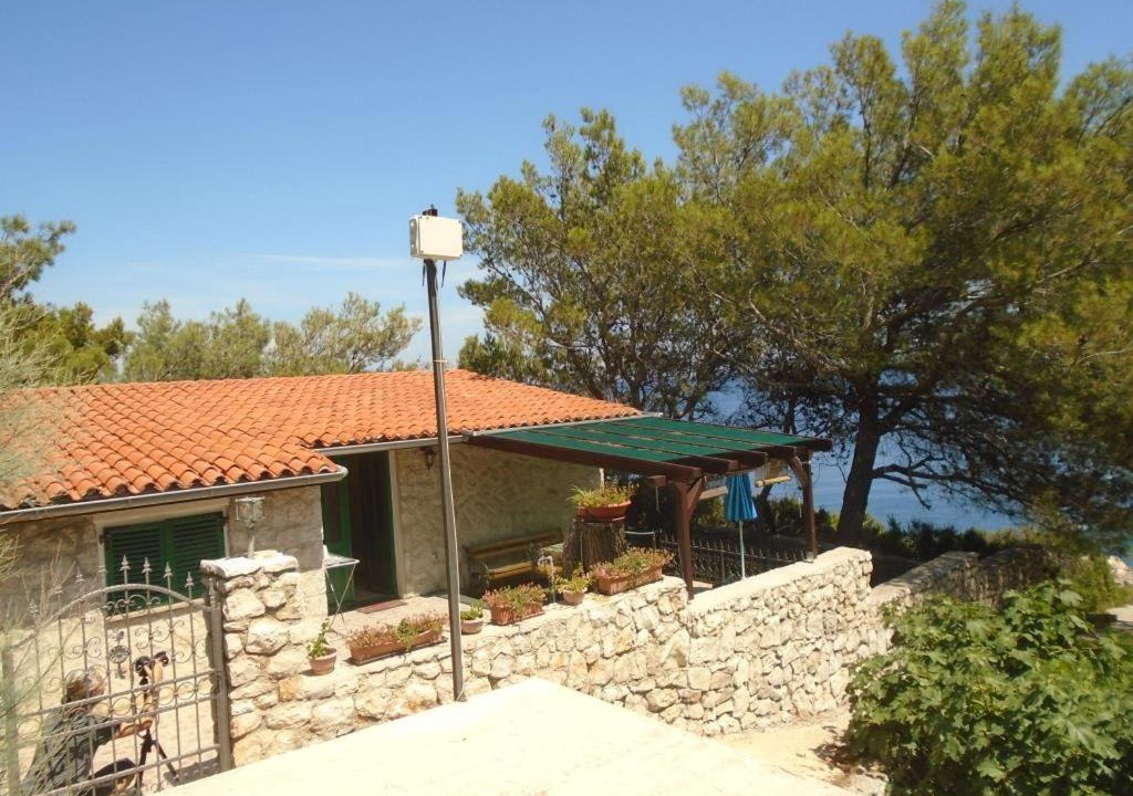 Photo of Others in Cove Murtar