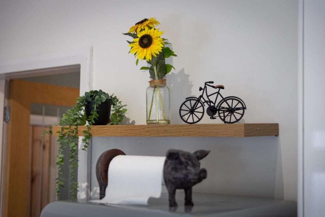 Photo of Others in Stanley