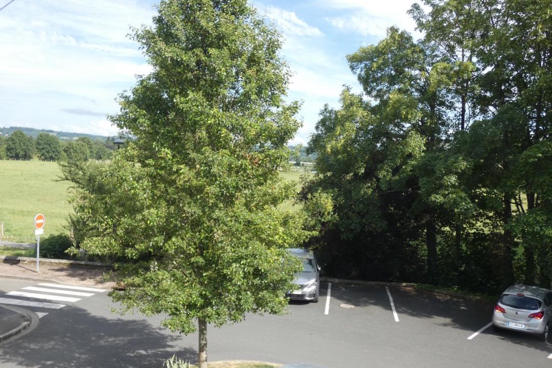 Photo of Others in Pont-l'Eveque