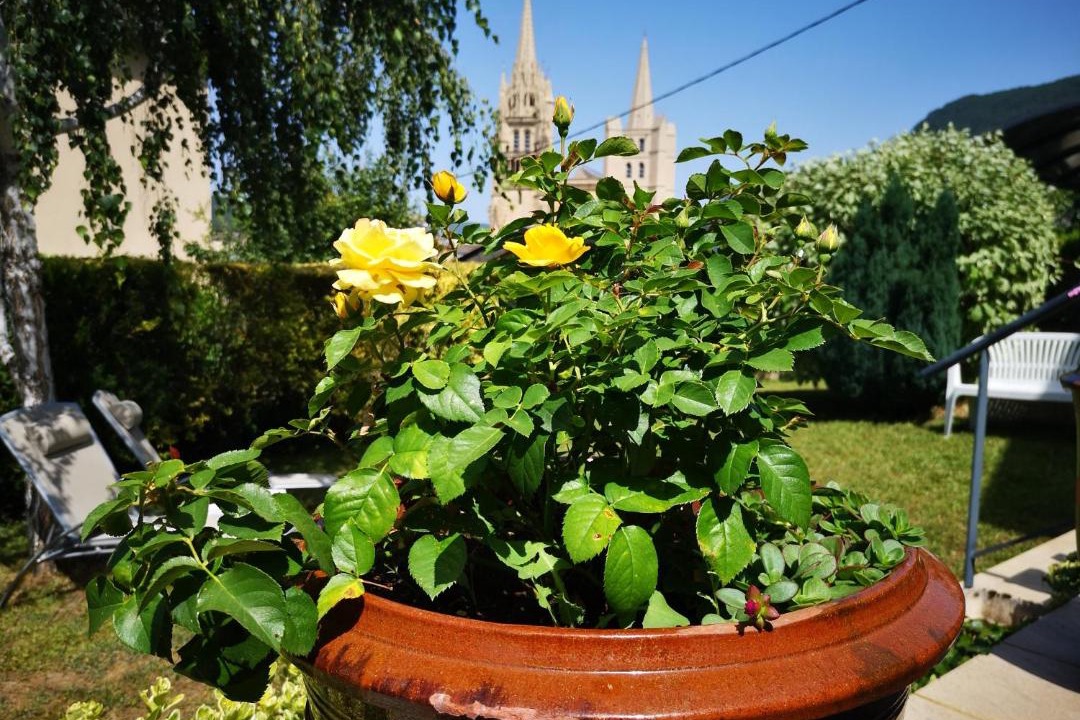 Photo of Others in Mende