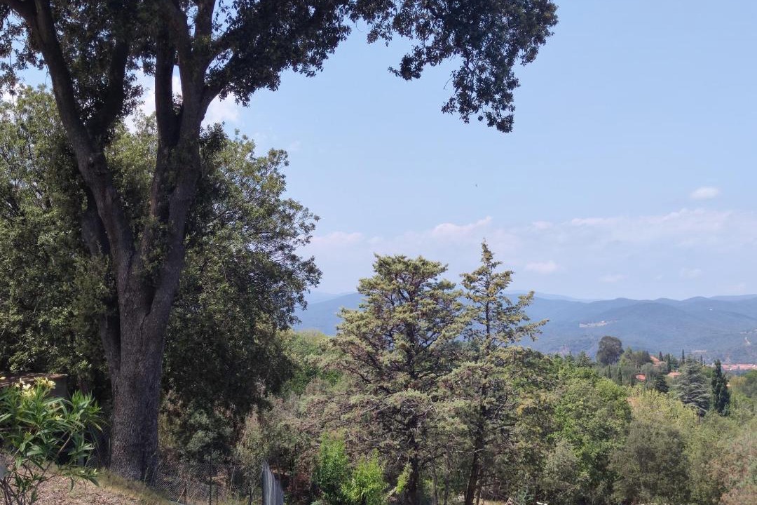 Photo of Others in Ceret