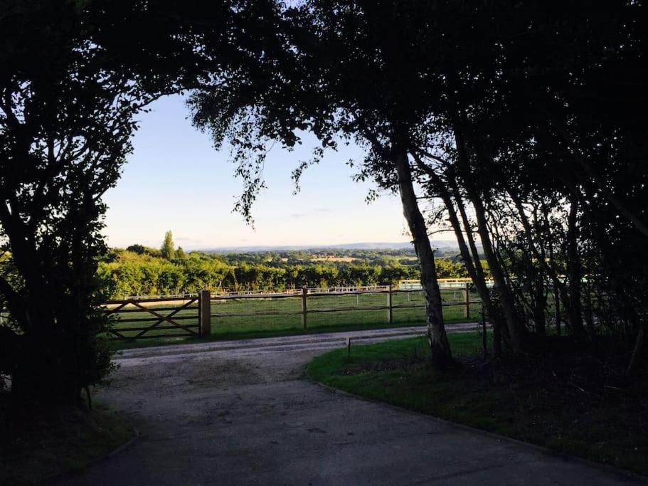 Photo of Others in Piltdown