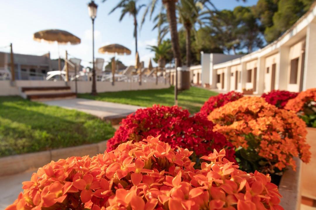 Photo of Others in Dehesa de Campoamor