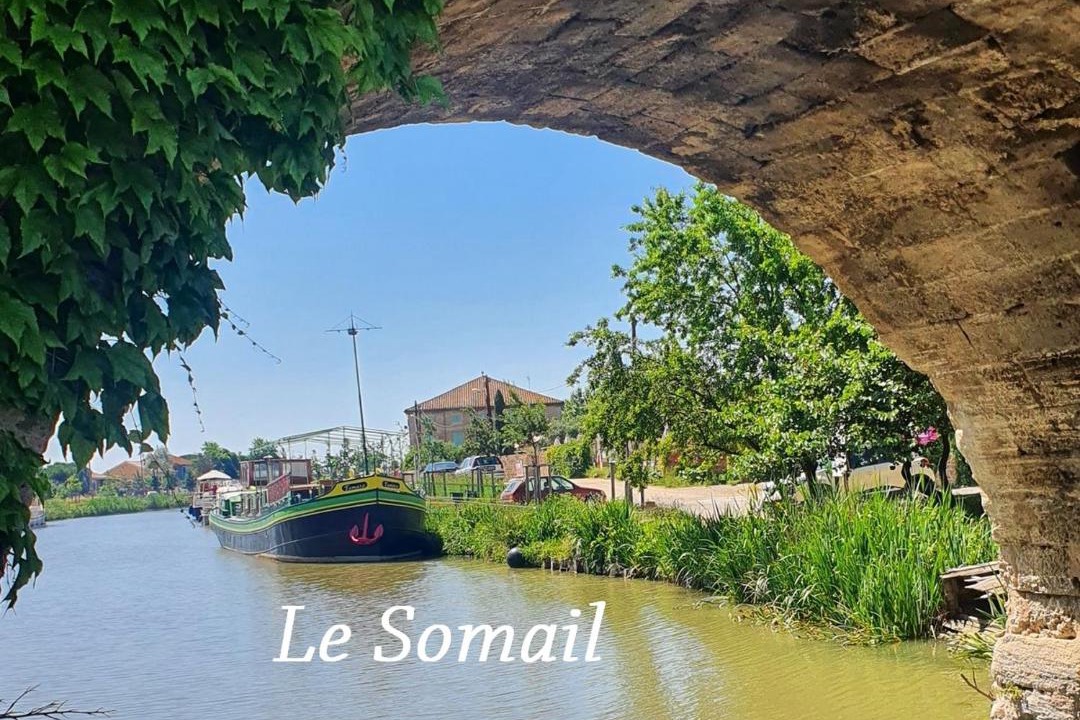 Photo of Others in Le Somail