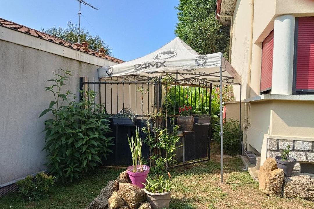 Photo of Others in Tartas