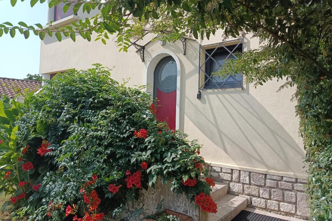 Photo of Others in Tartas