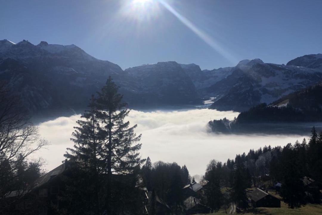 Photo of Others in Braunwald