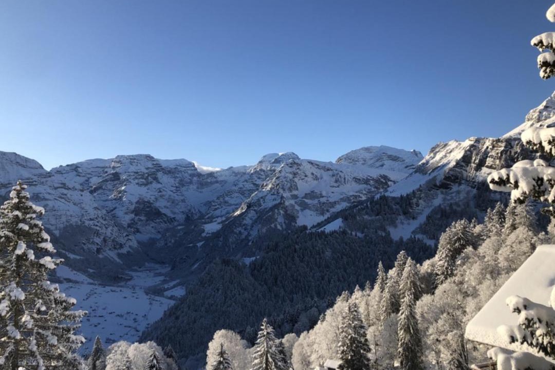 Photo of Others in Braunwald