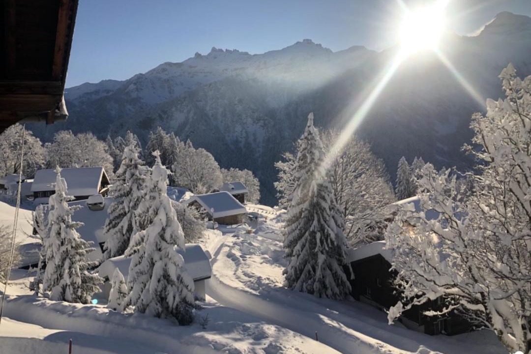 Photo of Others in Braunwald