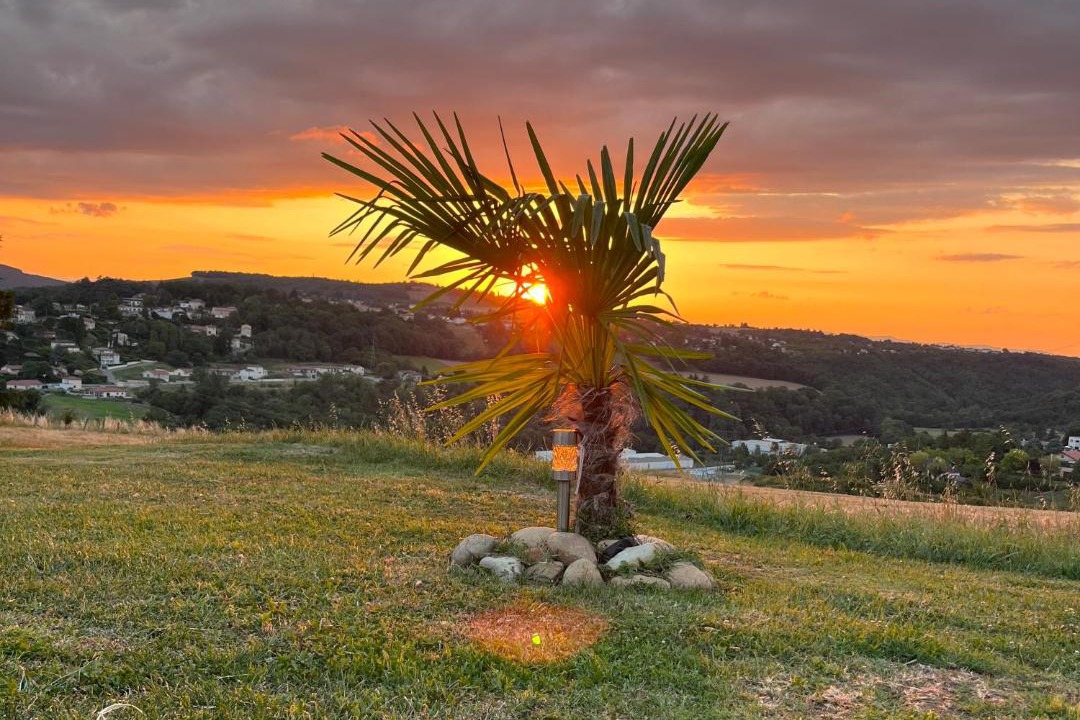 Photo of Others in Vienne