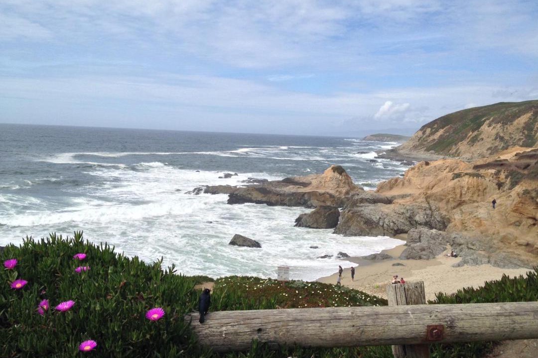 Photo of Outdoor in Bodega Bay