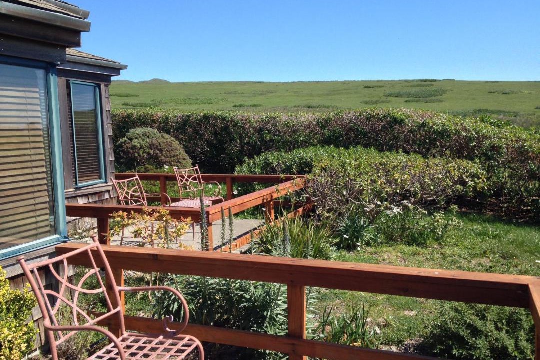 Photo of Others in Bodega Bay