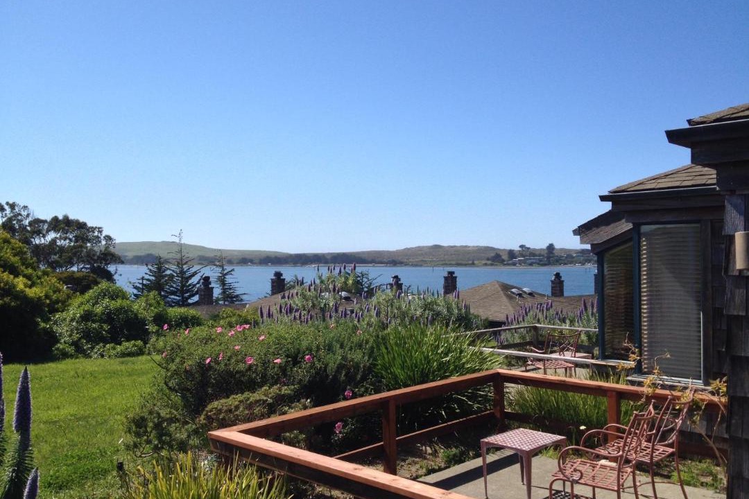 Photo of Others in Bodega Bay