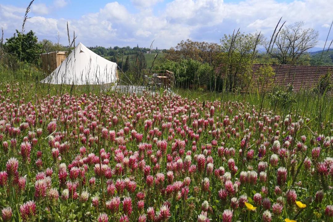 Photo of Others in Molles