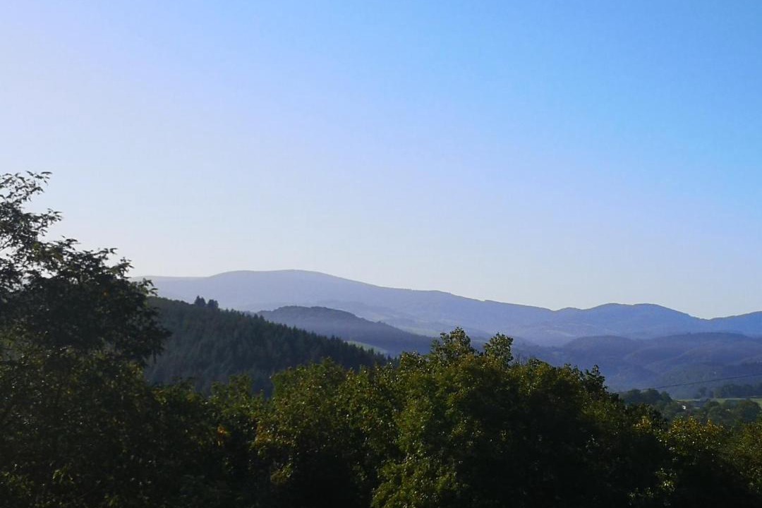 Photo of Others in Molles