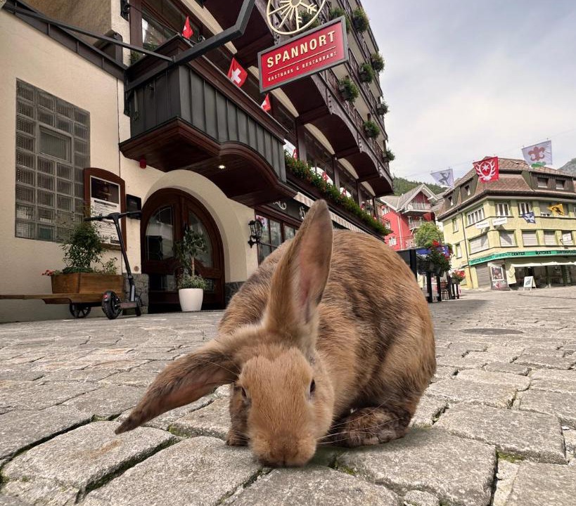 Photo of Others in Engelberg