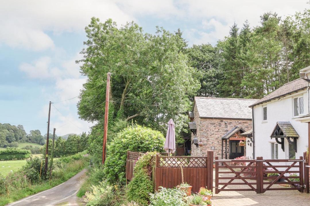 Photo of Others in Llanferres