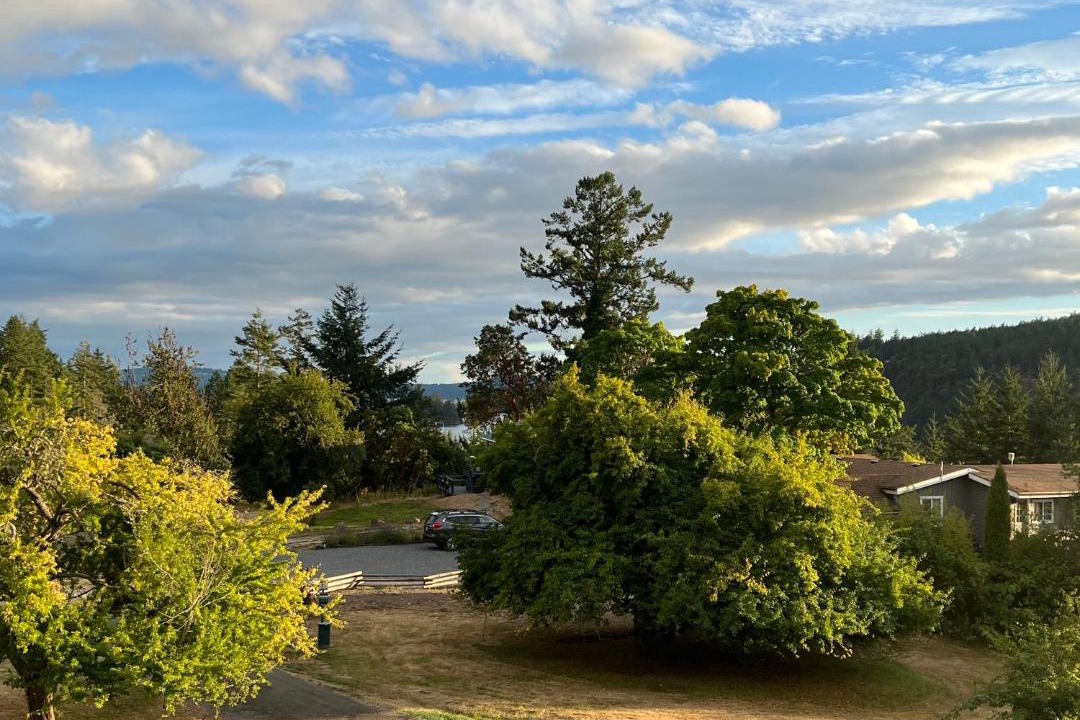 Photo of Others in Deer Harbor