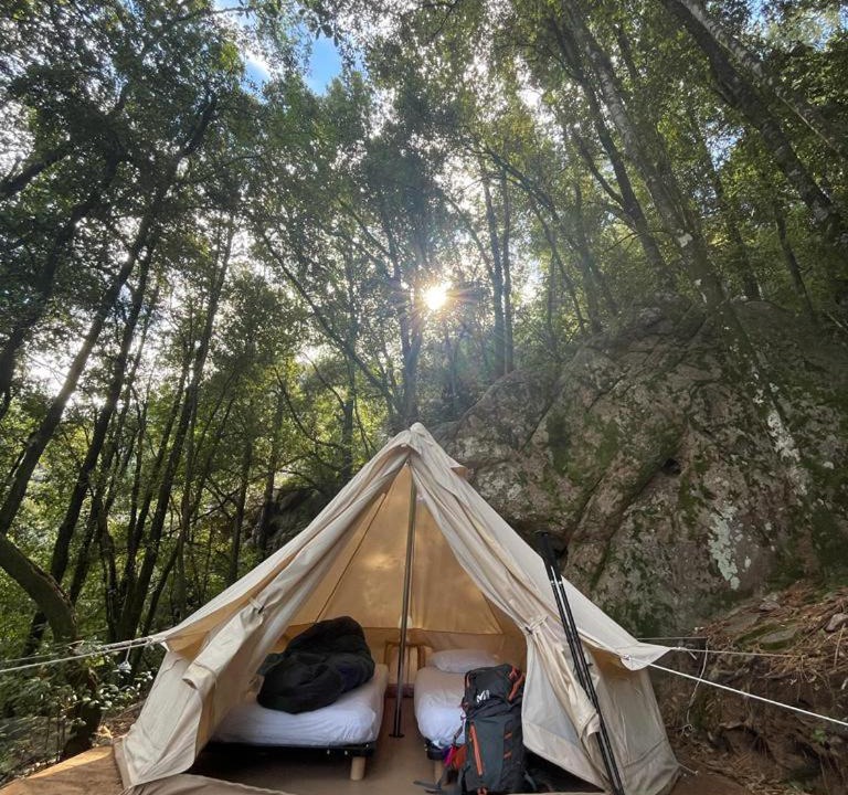 Photo of Others in Calenzana