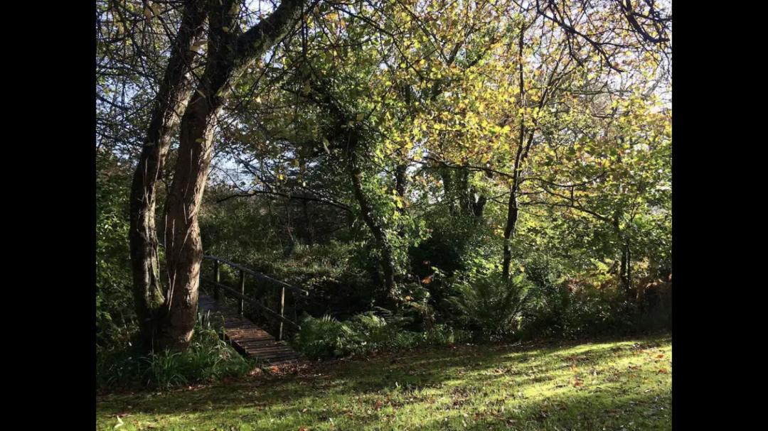 Photo of Others in Bude